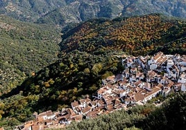 The Malaga municipality of Benalauría.