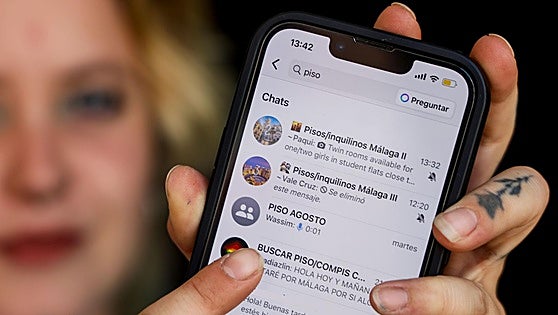 Search for rental accommodation on the Costa del Sol moves from property portals to social media networks