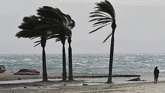 Spain's state weather agency activates alerts for entire coastline of Costa del Sol on Tuesday