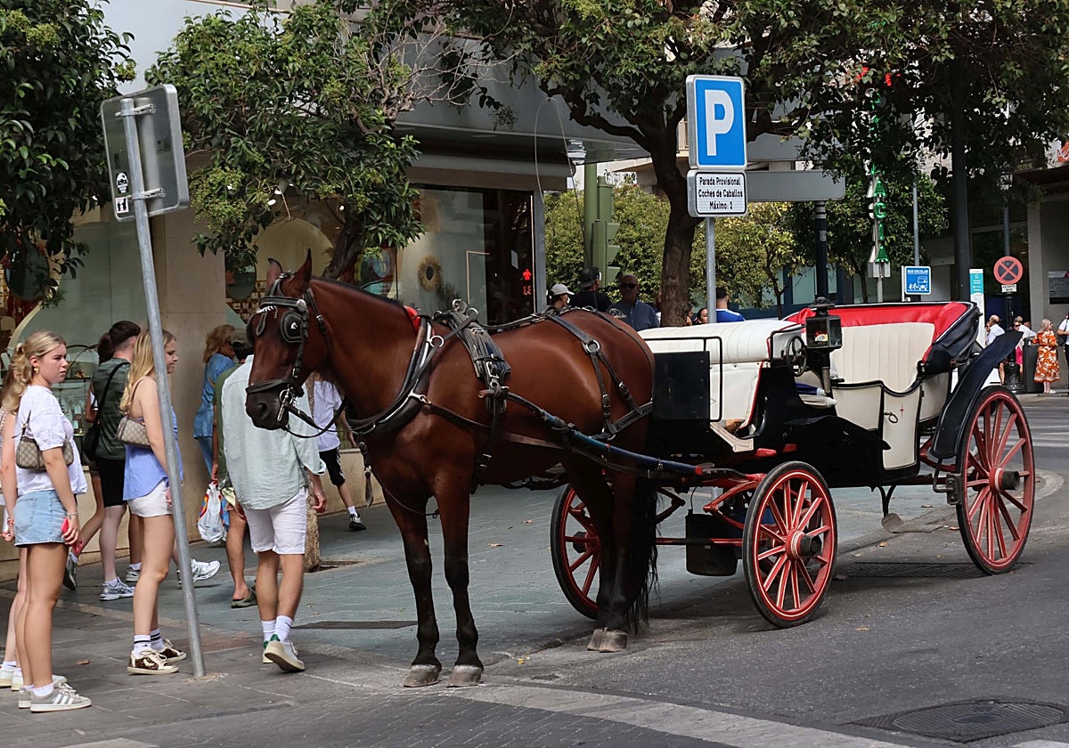 File image of tourists next to a horse-drawn carriage.