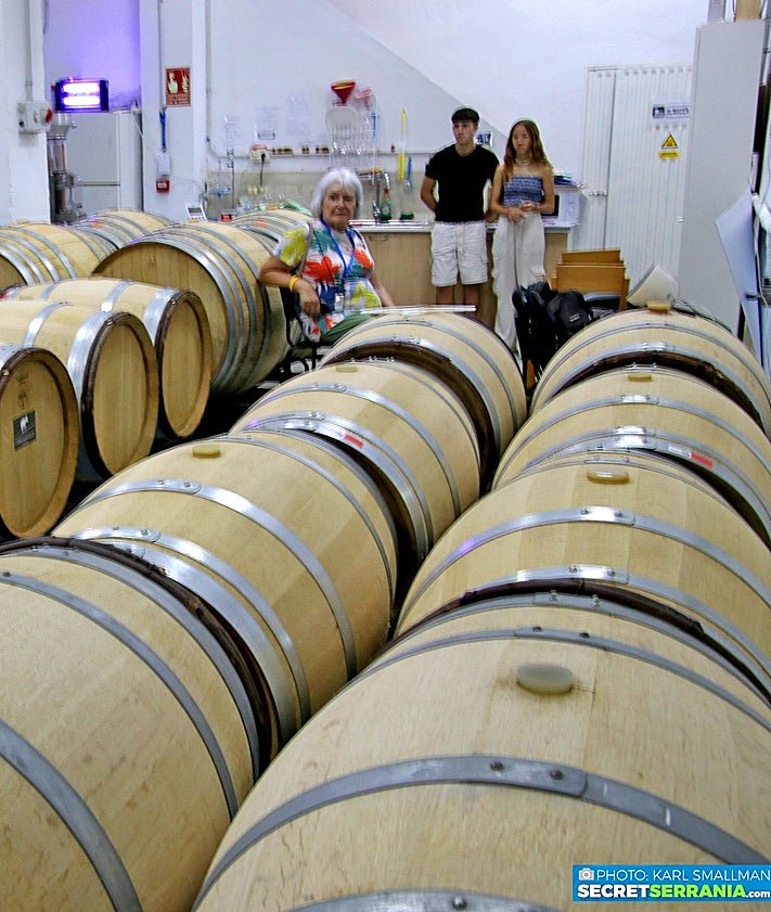 Imagen secundaria 2 - International press club members discover the heart of Malaga&#039;s Axarquía