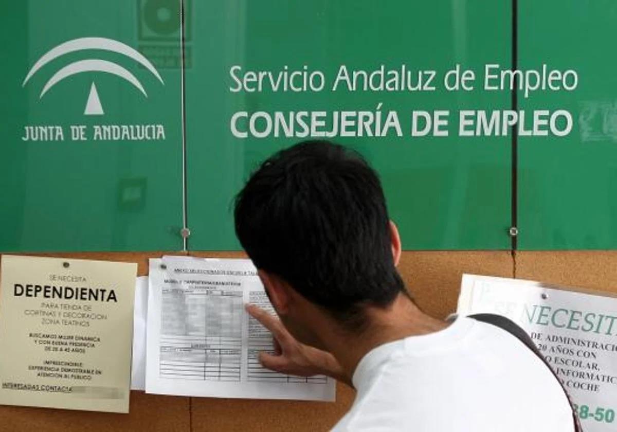 Employment among the young in Malaga is growing with migrants leading the way