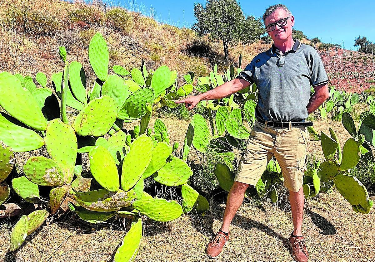 José Miguel Guzmán, producer of 'El Tío Lo Chumbo', proudly shows his prickly pear cactus in Coín.