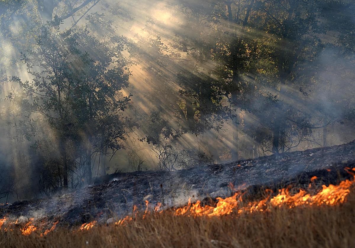 Forest fire, Spain