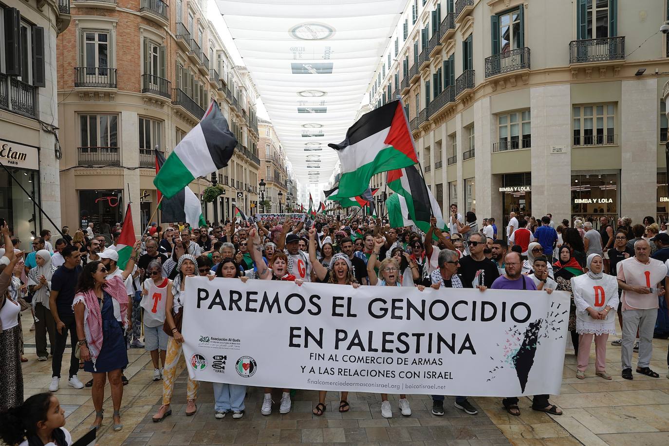 More than 2,000 protesters join Gaza 'genocide' march in Malaga, in images