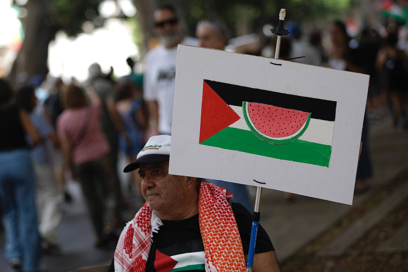 More than 2,000 protesters join Gaza &#039;genocide&#039; march in Malaga, in images