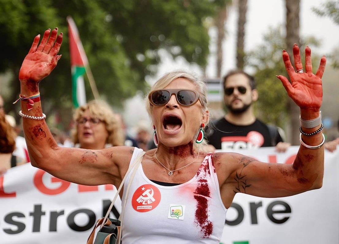 More than 2,000 protesters join Gaza 'genocide' march in Malaga, in images