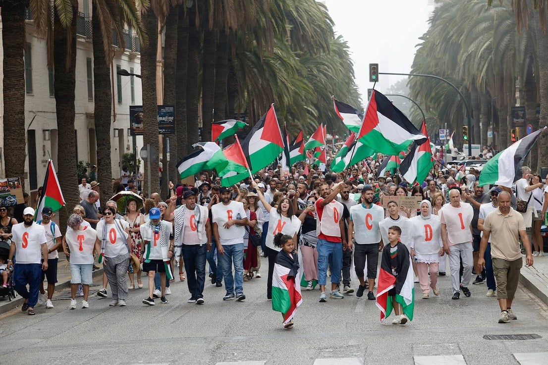 More than 2,000 protesters join Gaza 'genocide' march in Malaga, in images