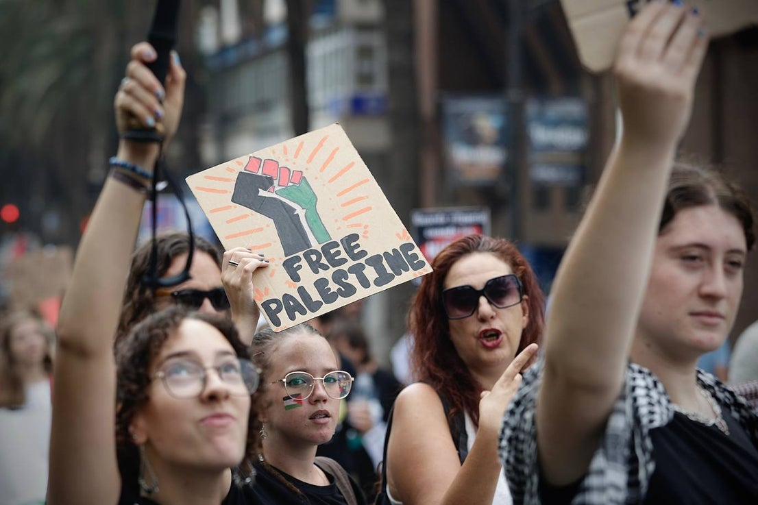 More than 2,000 protesters join Gaza 'genocide' march in Malaga, in images