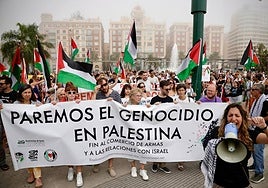 More than 2,000 protesters join Gaza 'genocide' march in Malaga, in images
