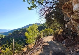 A new footpath has been created in El Burgo, within the Sierra de las Nieves National Park, to improve accessibility and promote sustainable tourism.