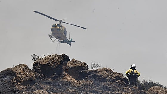 Only one forest fire greater than 100 hectares scorched the mountains of Malaga province this summer