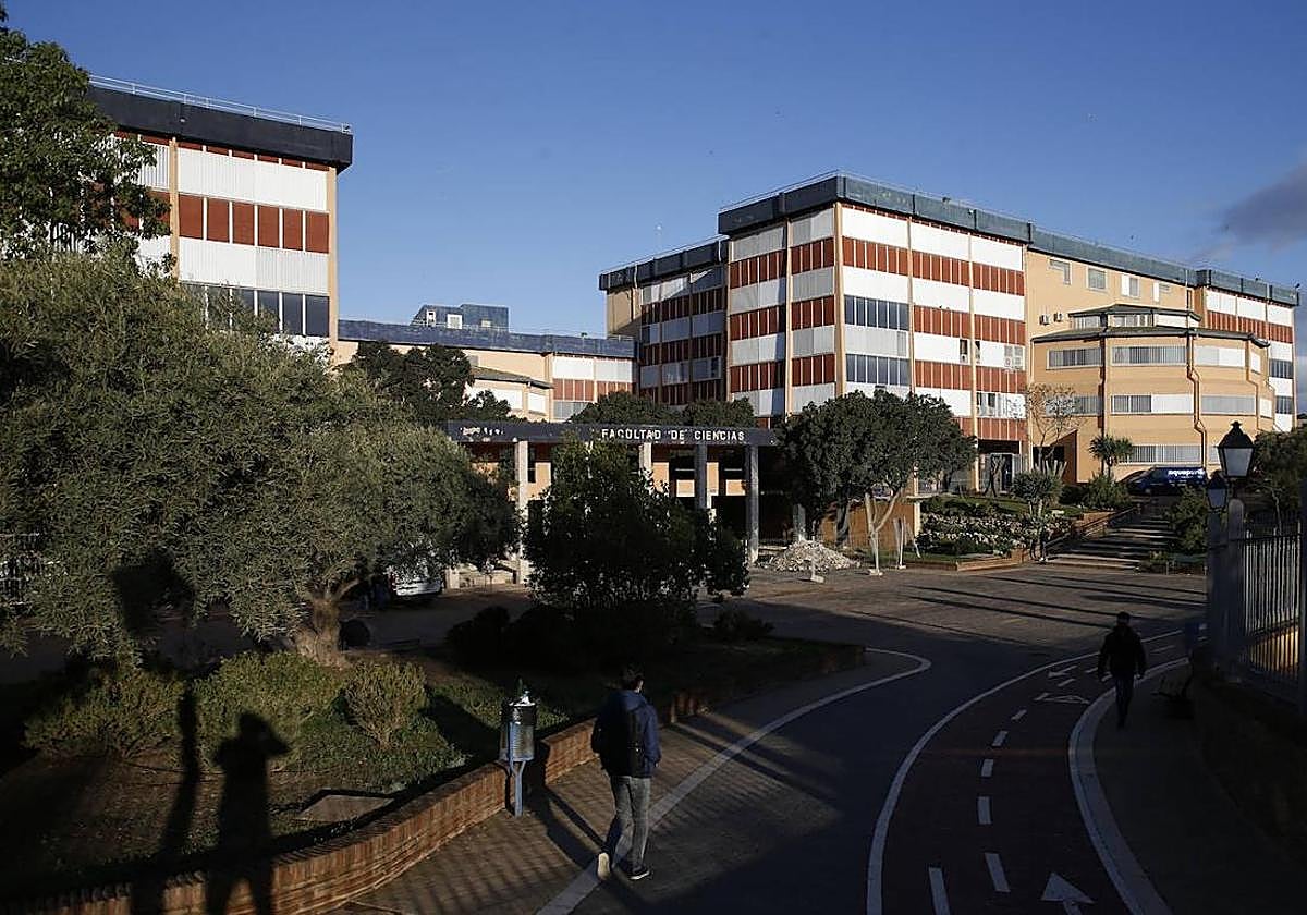 University of Malaga receives less funding per student than almost all of Andalucía