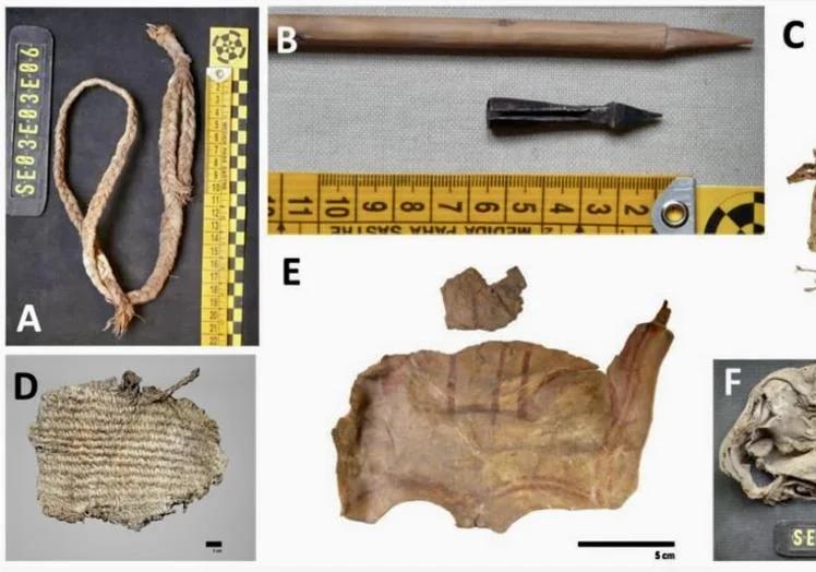 Photo of some of the objects found in bearded vulture nests.