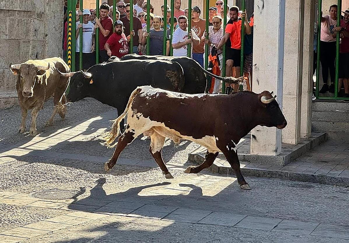 Man gored by bull at village fair in central Spain dies