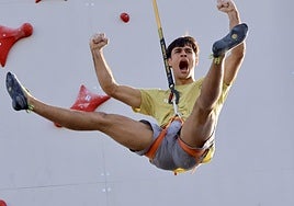 Mijas goes up in the world to host 300 climbers in Copa de España competition