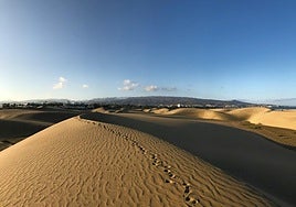 Gran Canaria: The idyllic escape for nature lovers