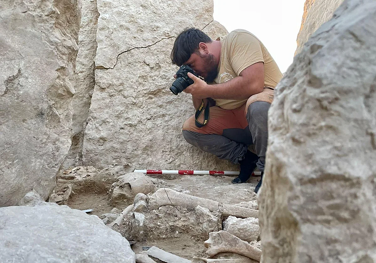 Imagen principal - Some of the discoveries.