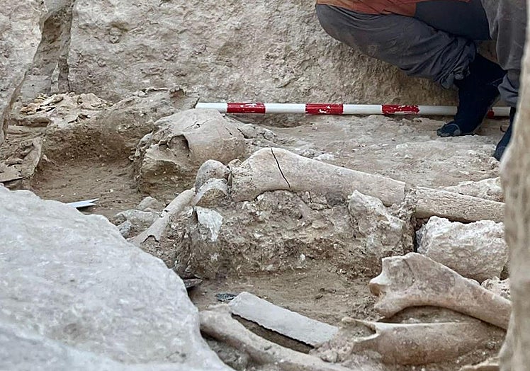 Some of the remains found in the dolmen.