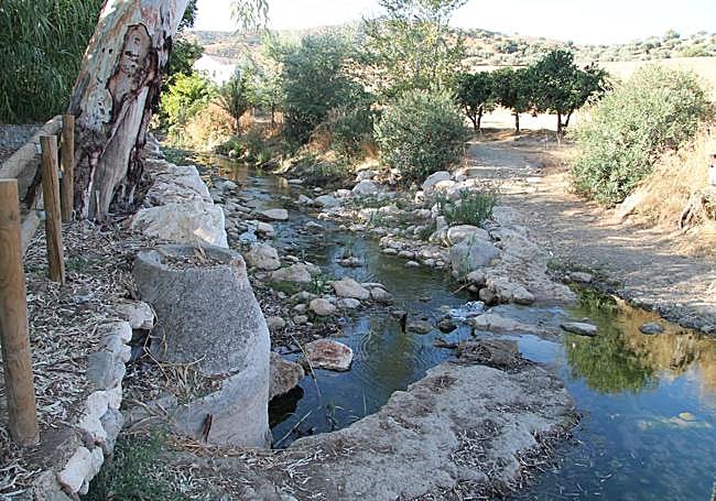 The Cueva river is one of the most interesting places for its biodiversity.