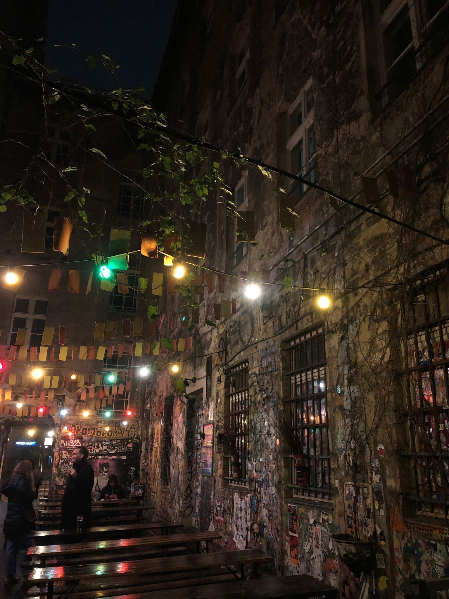 Haus Schwarzenberg street art.