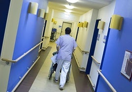 A worker pushes a nursing home resident in a wheelchair (file image)
