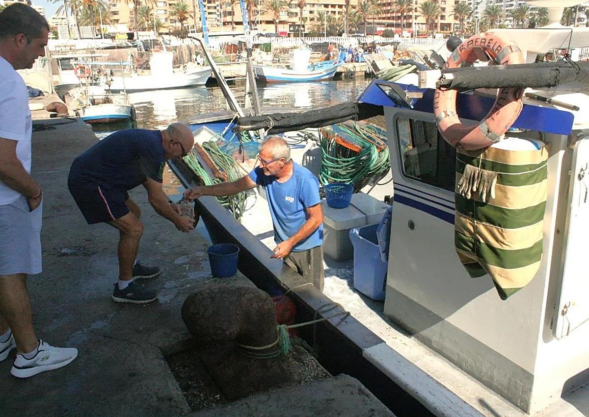 Imagen secundaria 1 - These are the shellfish species that have disappeared from the Costa del Sol's coastline: 'It is a disaster'