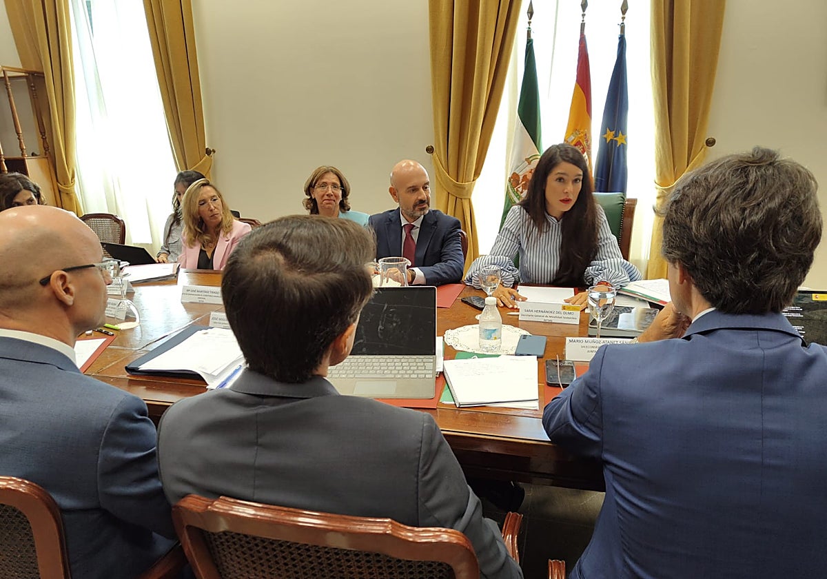 The director-general for sustainable transport during the meeting.