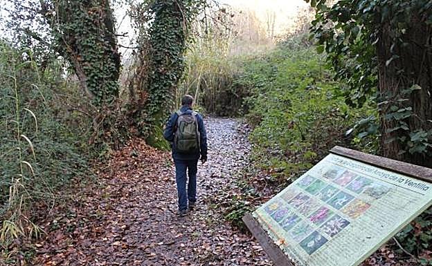 Hike that joins to the Arroyo Ventilla