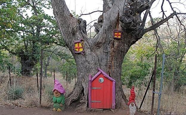 Bosque Encantada de Parauta.