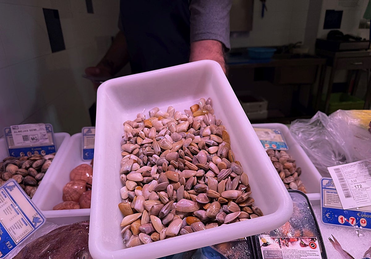 The price means that there are few fishmongers with coquinas. In the picture, one in the market of San Pedro Alcántara, in Marbella.