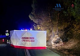 Driver dies after car crashes into tree and bursts into flames in north of Malaga province