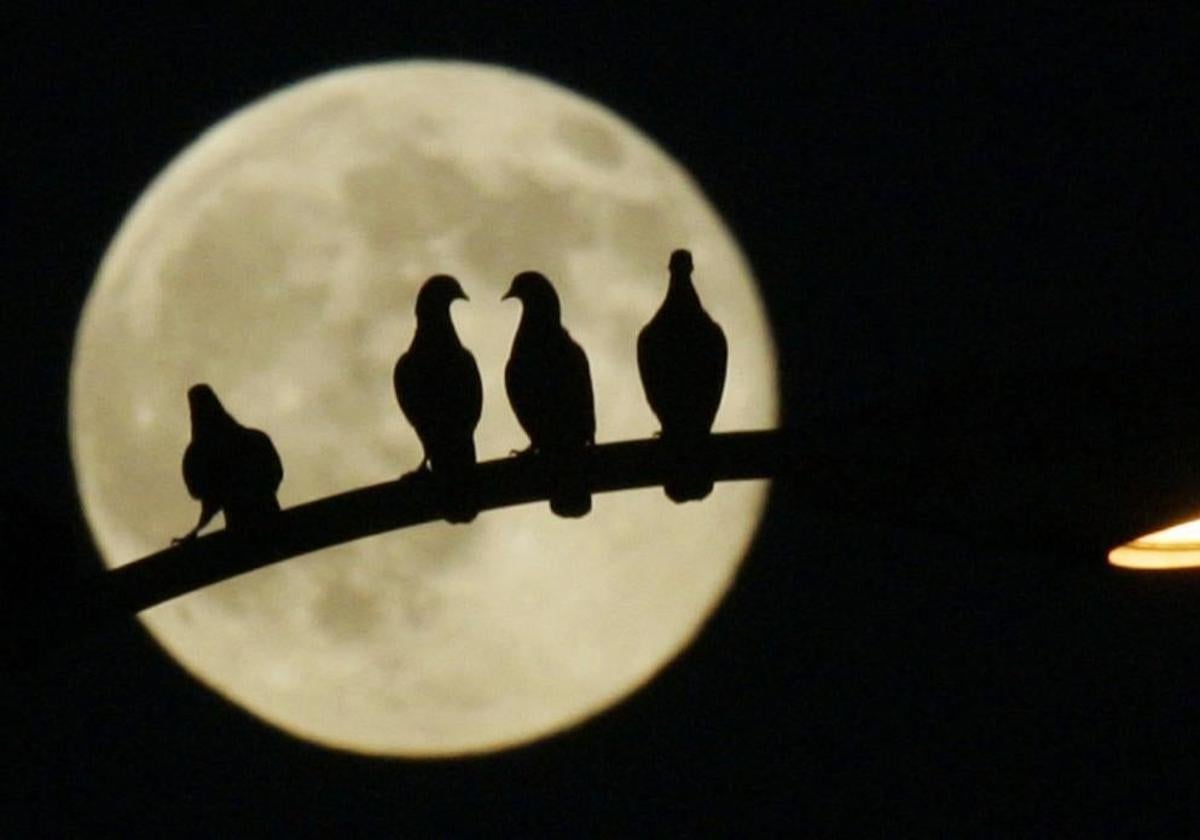 Hunter's Moon October 2025 in Spain