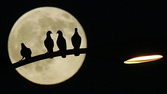 Hunter's Moon: this the best time to see October's full moon in the night sky in Spain