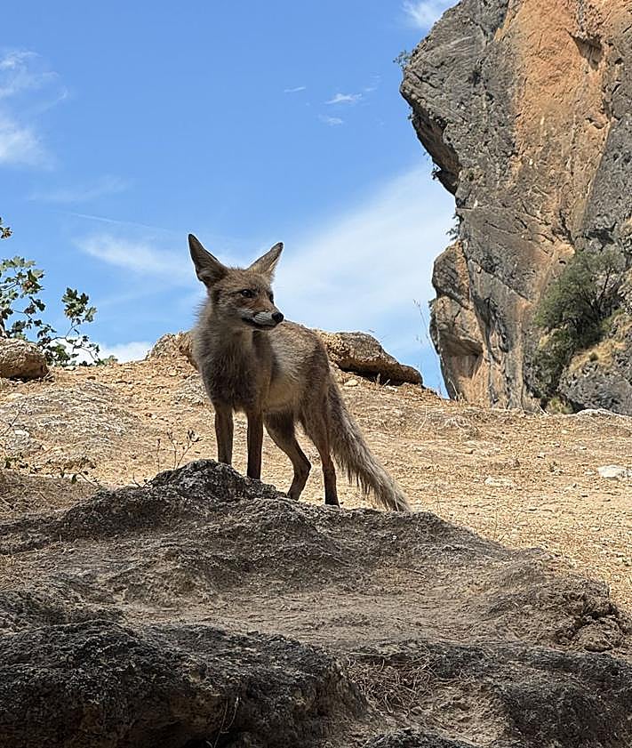 Imagen secundaria 2 - The hiking route with endless waterfalls in Spain's Andalucía region, perfect to do this autumn