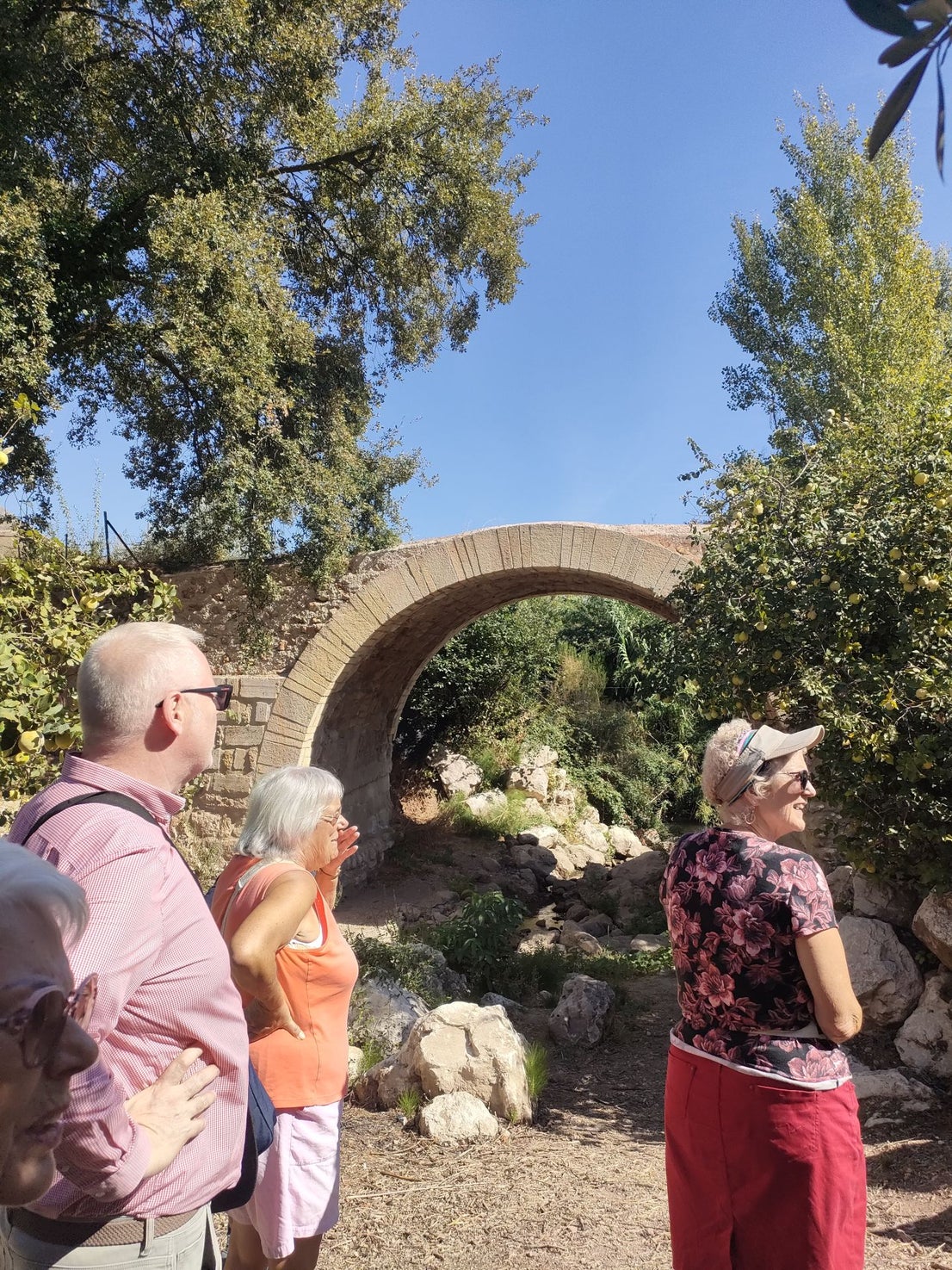 Discovering the delights of Cordoba's Subbética