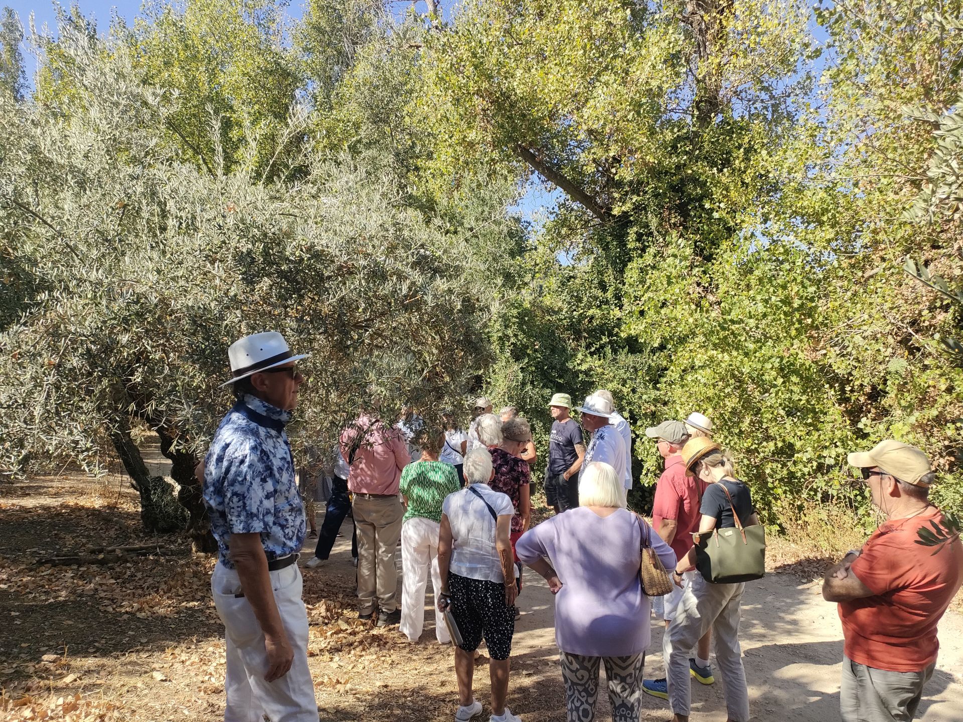 Discovering the delights of Cordoba's Subbética