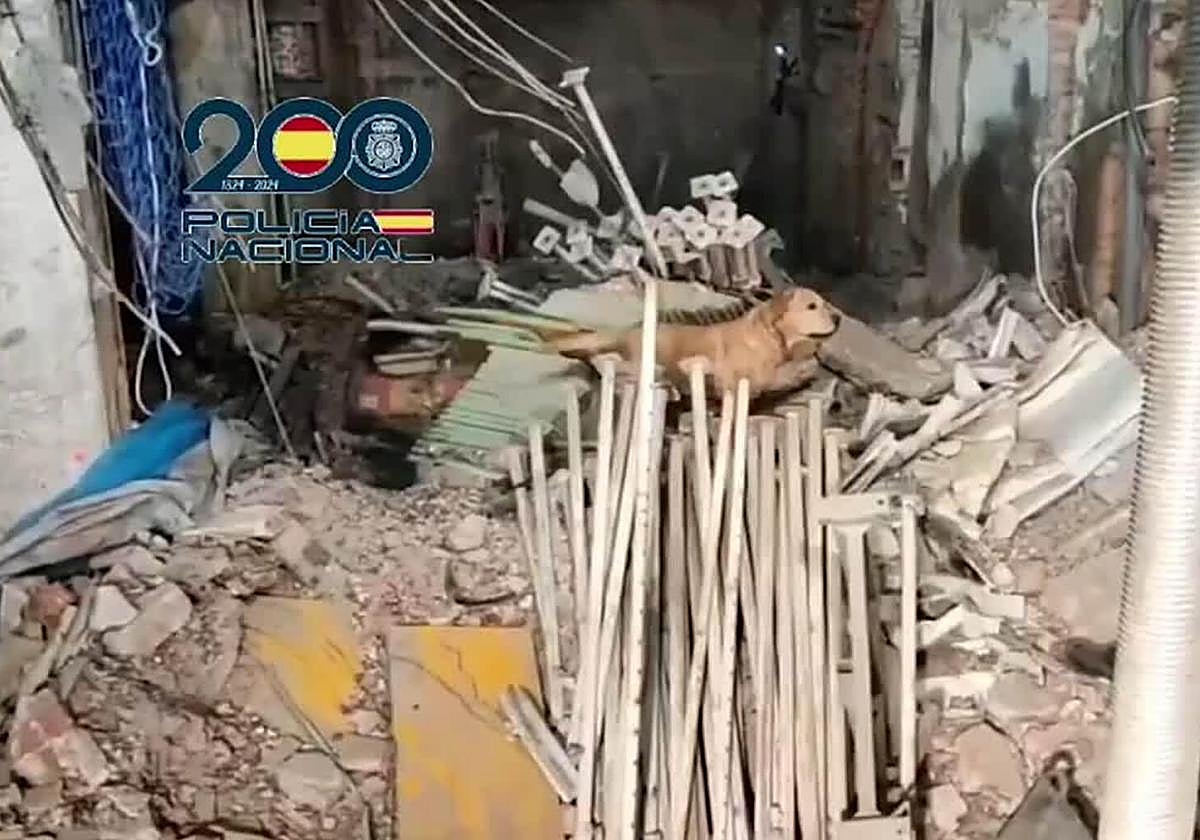 The moment when two National Police dogs found the bodies of the last trapped workers.