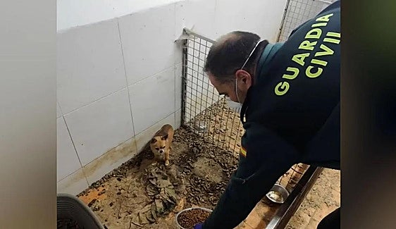 Police discover 250 dead animals and almost 200 on their last legs at clandestine breeding centre of horrors