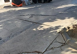 Photo provided by the town hall of the damage to the road caused by the tree roots.