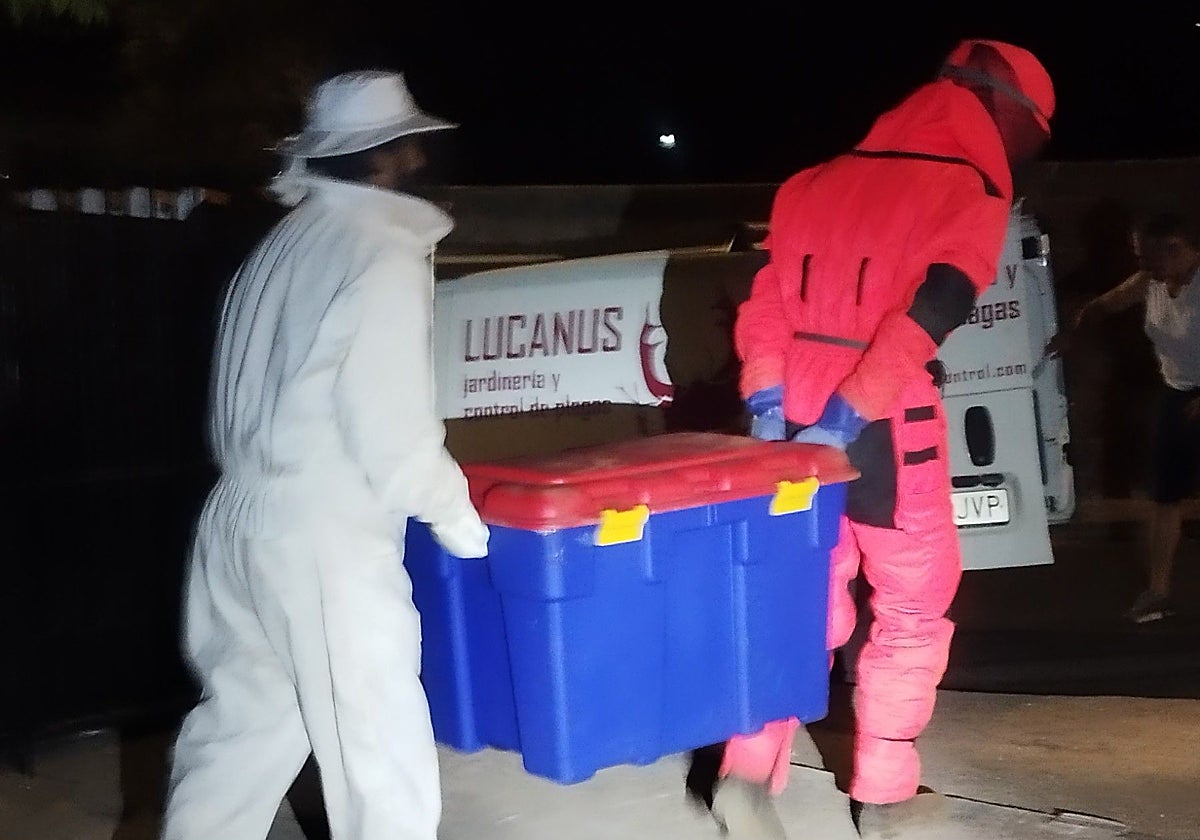 The box containing the nest.