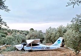 The aircraft that crashed in Periana.