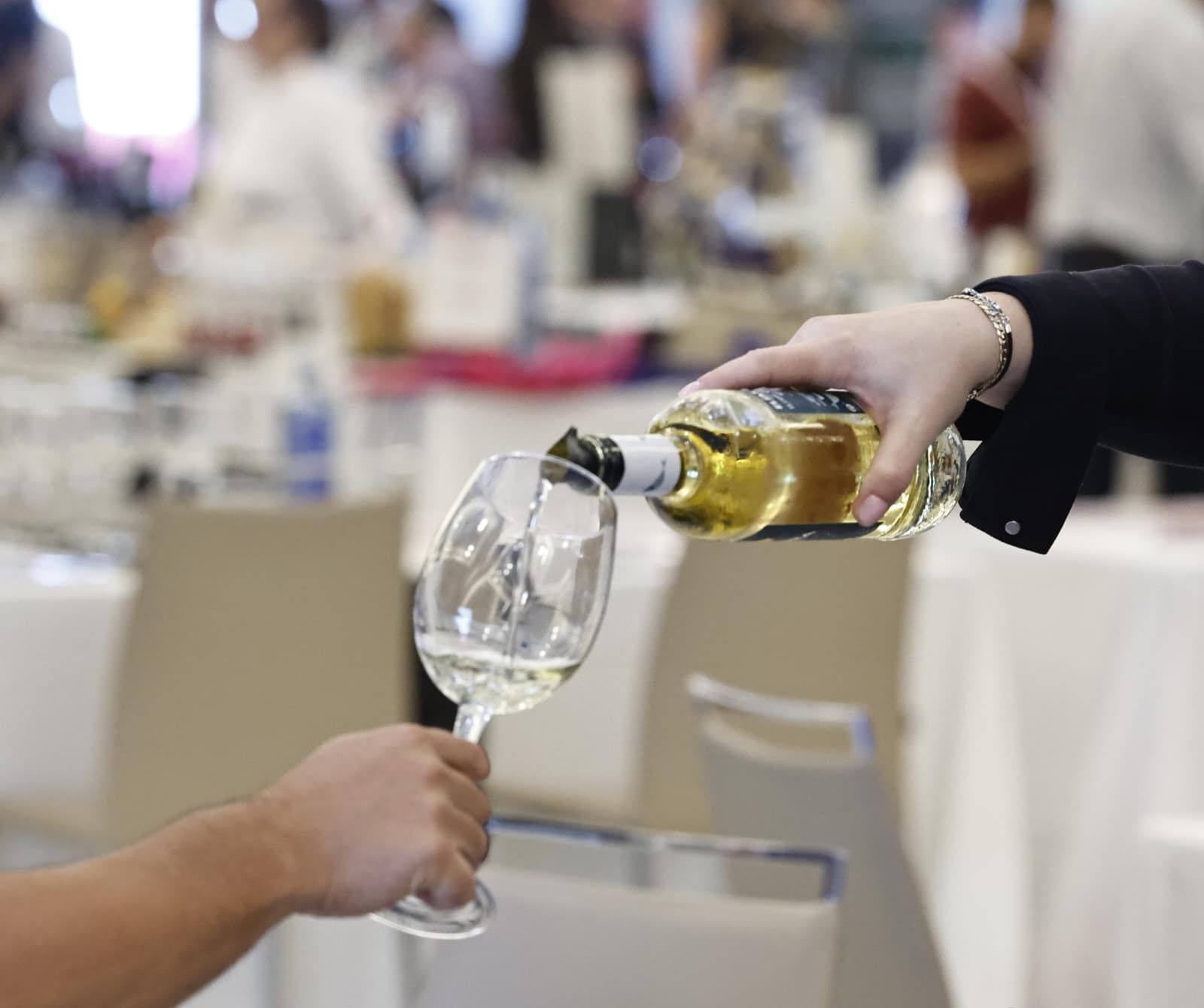 SUR Wines &amp; Gourmet 2025, in pictures