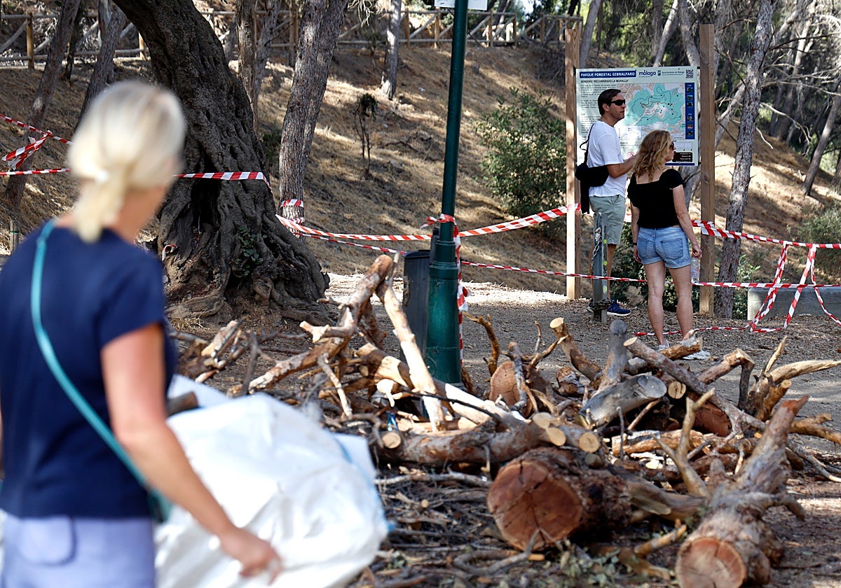Mount Gibralfaro is one of the most affected in Malaga city.