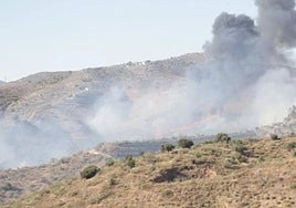 Photograph of the wildfire in Moclinejo on 29 August 2020.