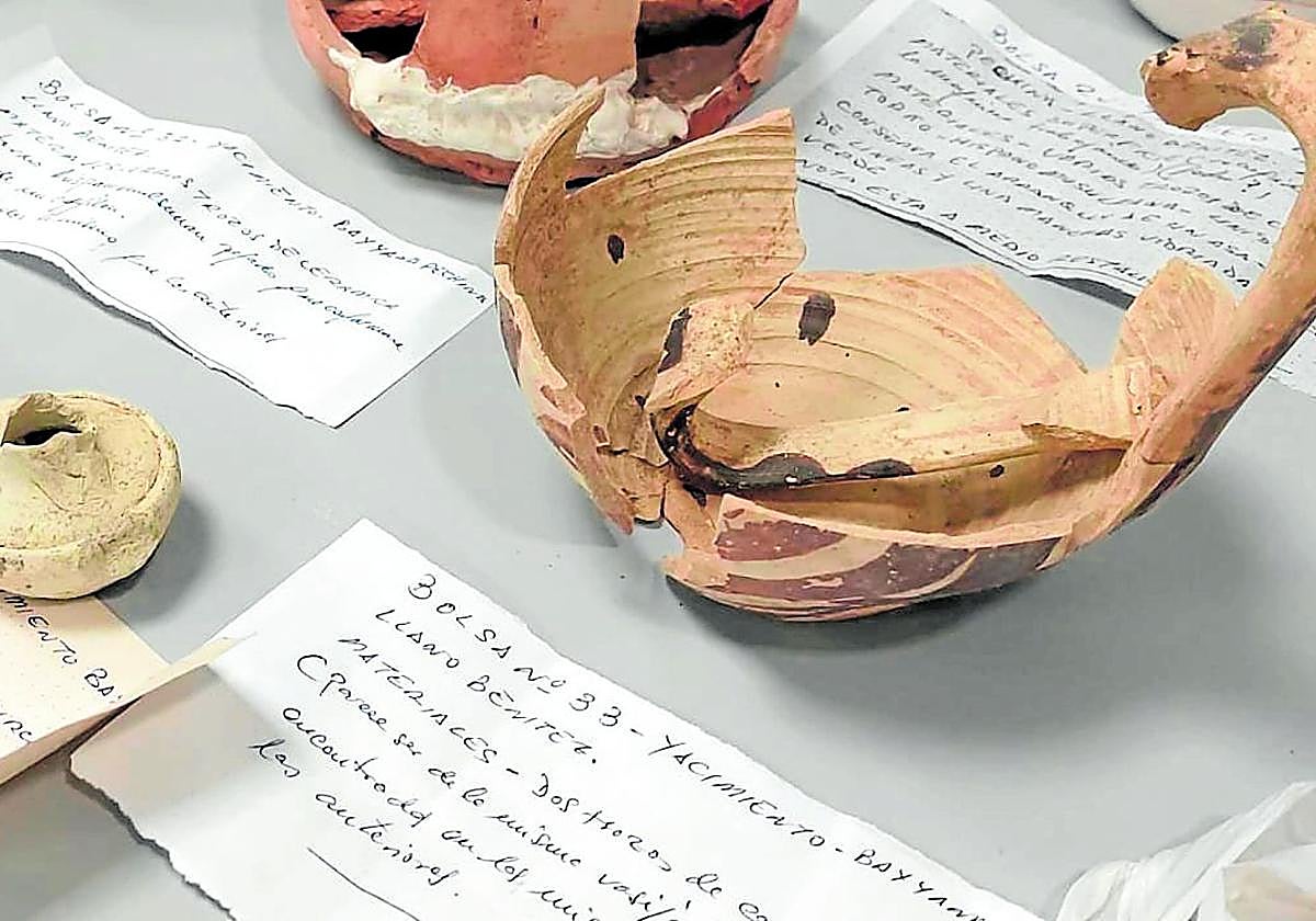 Some of the pieces recovered by the police in the province.