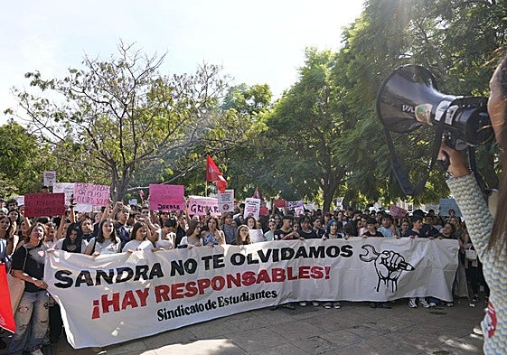 Demonstrators in the centre of Malaga on Tuesday.
