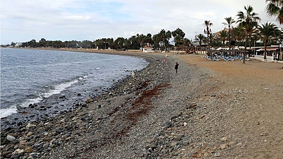 Spain's coastal authority prepares tender for stabilisation of Marbella beaches
