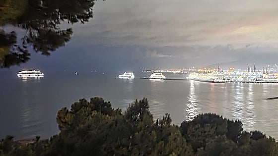 These are the five cruise ships that formed an orderly queue to dock at Malaga port this morning