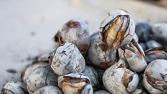 The Malaga village celebrating its heritage with roasted chestnuts this weekend